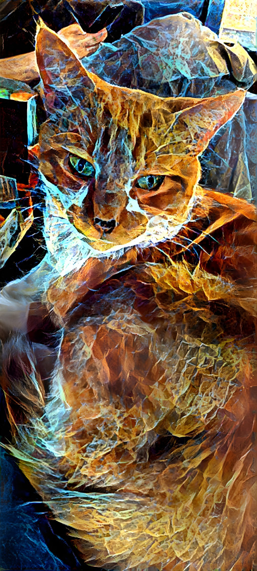 Cat mosaic