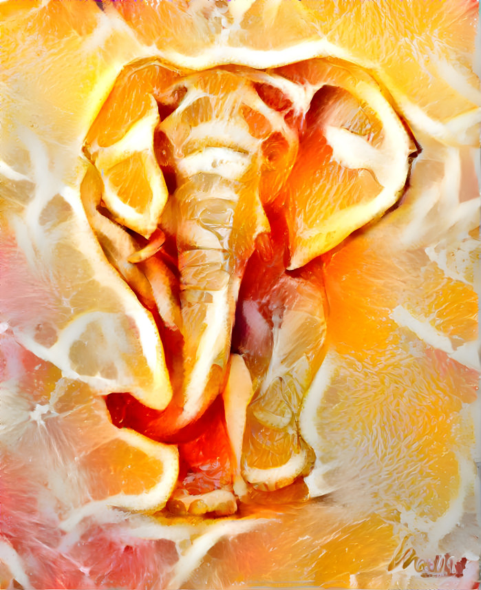 elephantorange