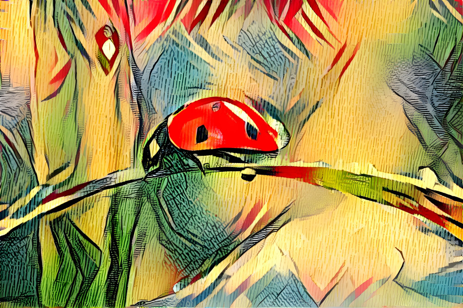 ladybug