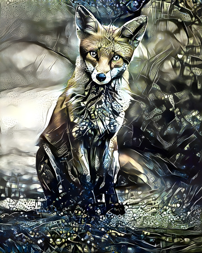 Rainy Day Fox