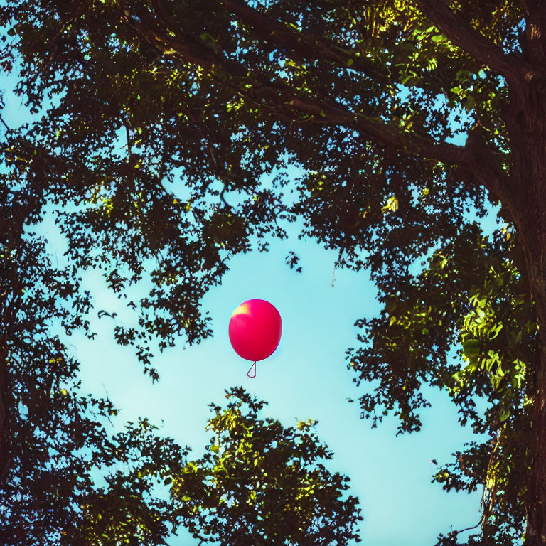 Red balloon floating in blue sky with tree silhouettes