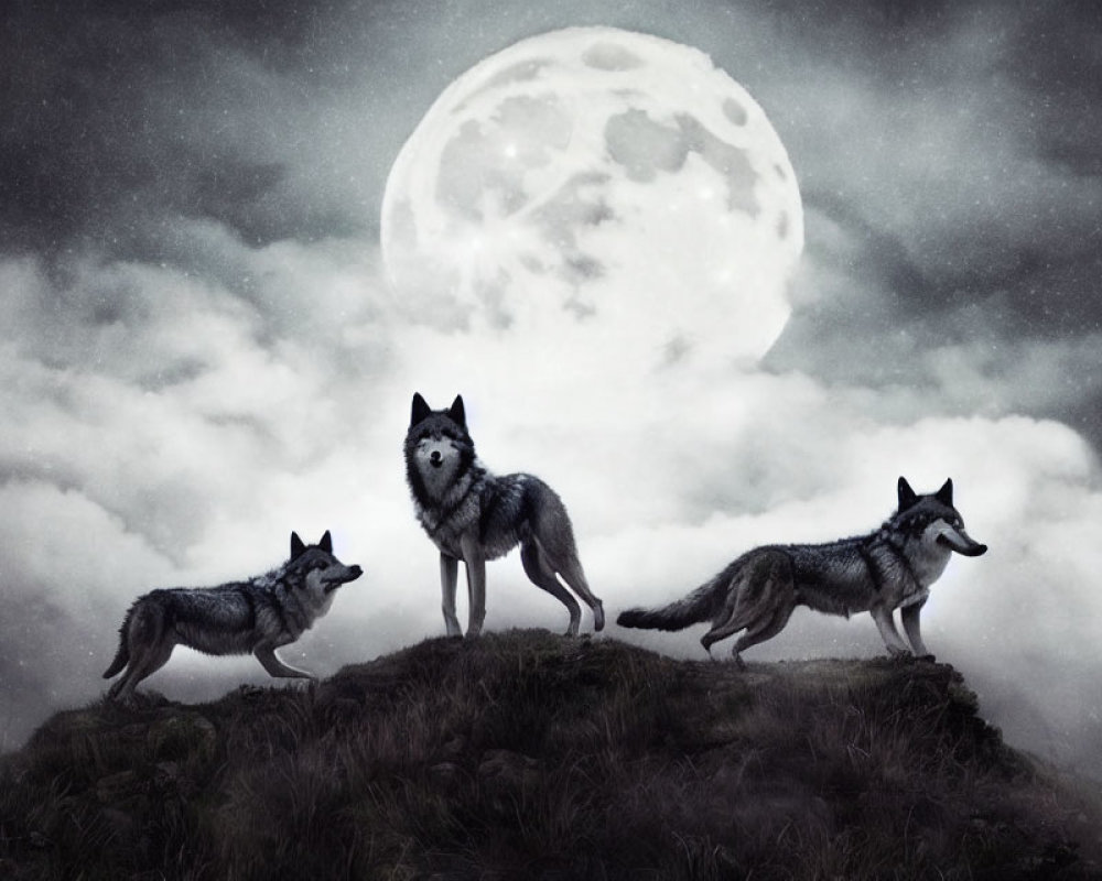 Three Wolves on Rugged Hillock Under Full Moon