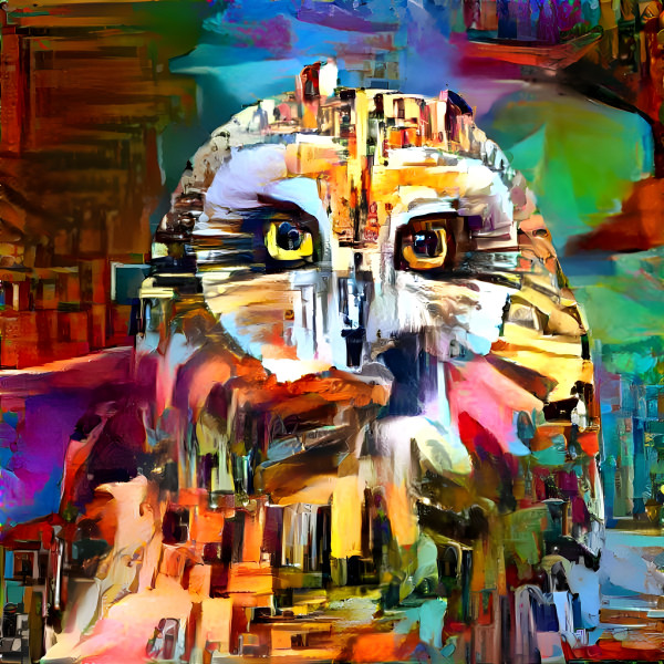 Owl