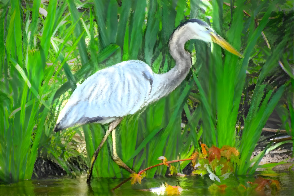 Heron