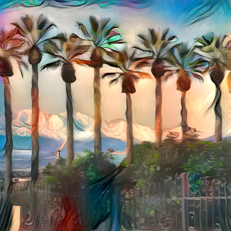 Palms and Peaks