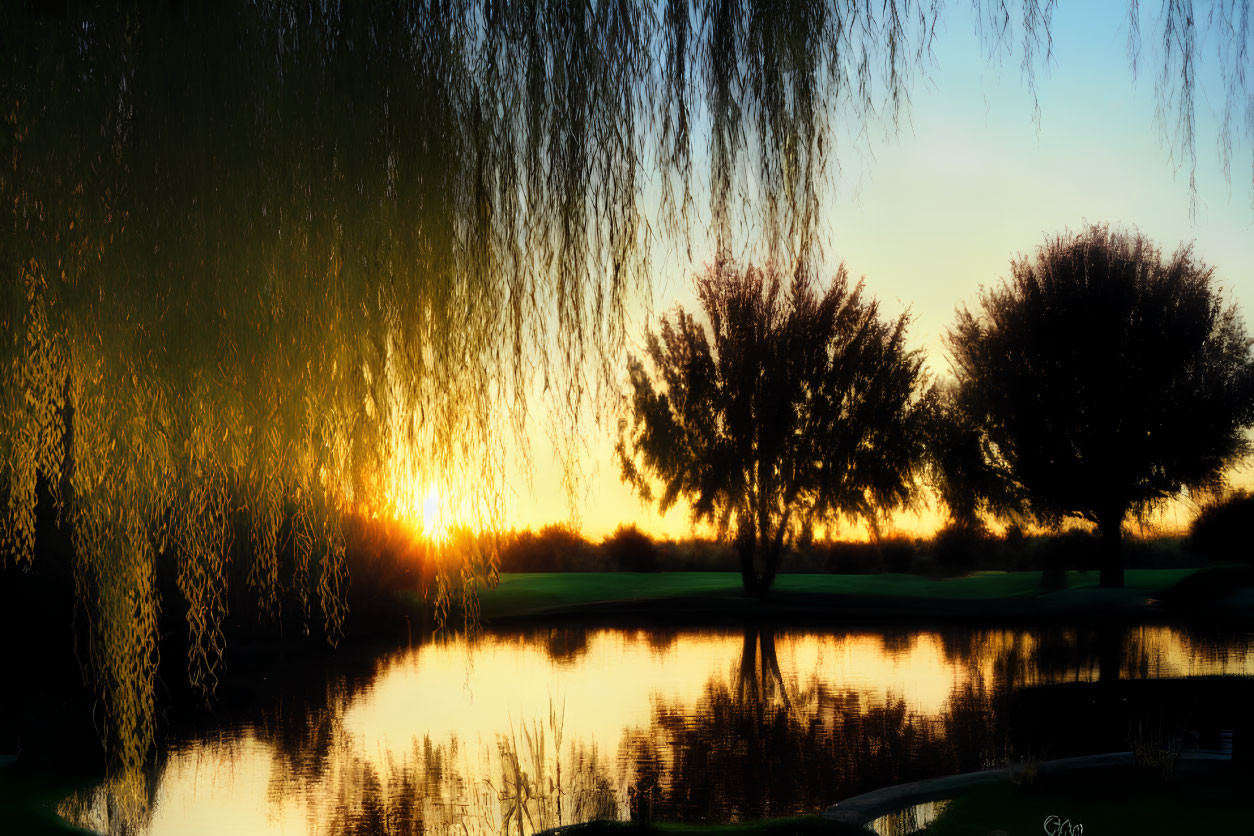 Tranquil lake sunset with tree silhouettes and vibrant orange sky