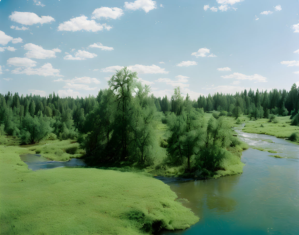 Tranquil river winding through lush green landscape