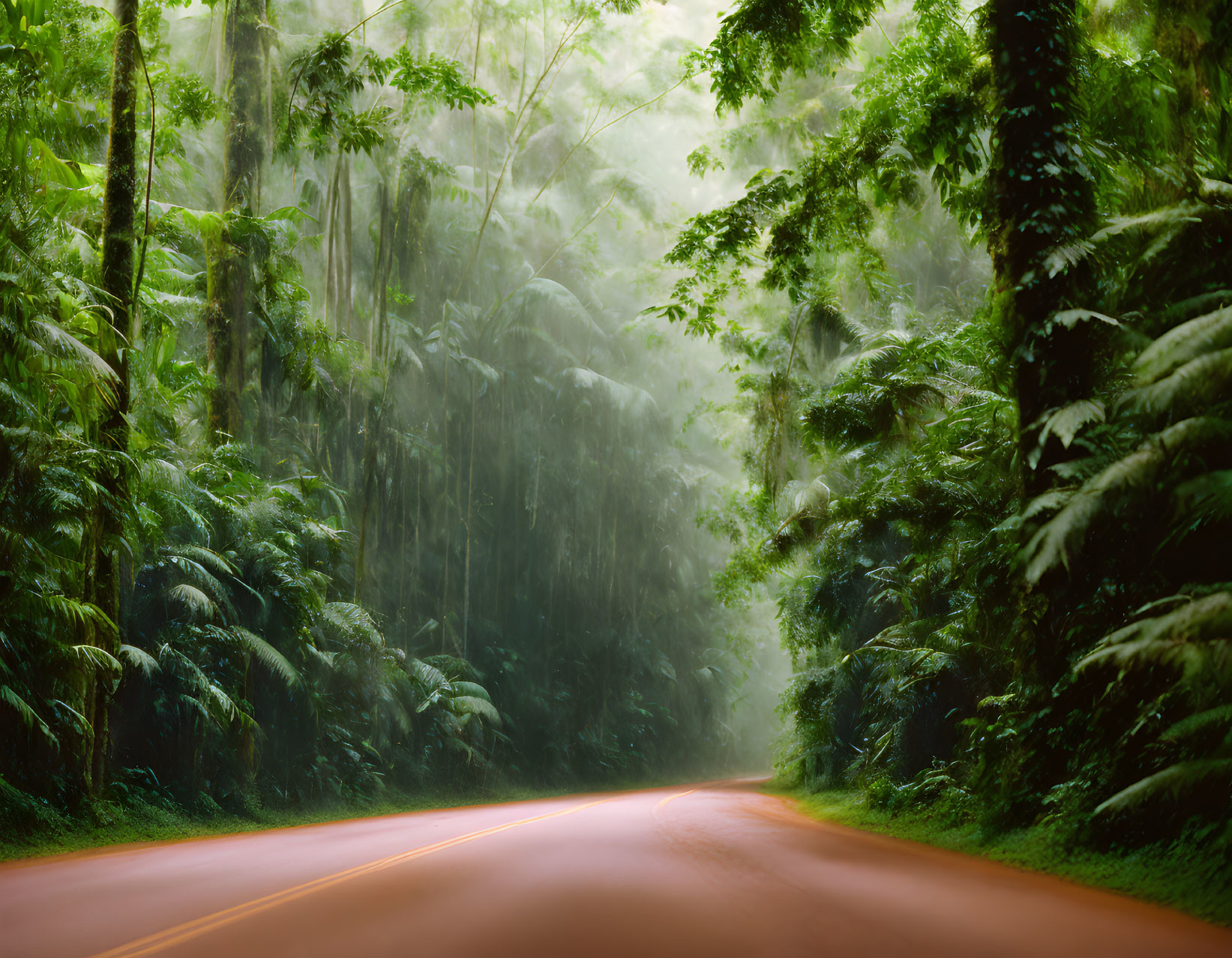 Winding road through misty forest with lush green foliage