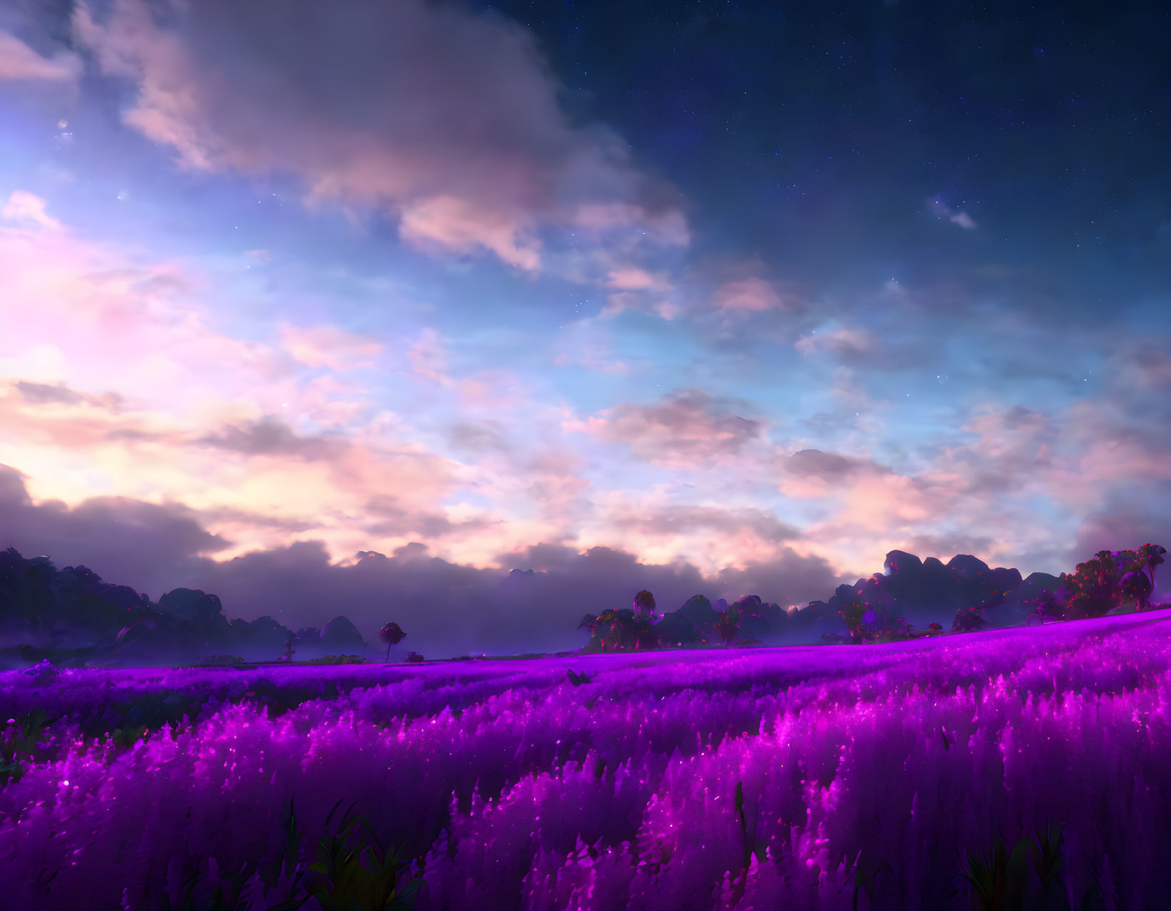 Scenic purple flower field under dramatic sunset sky.