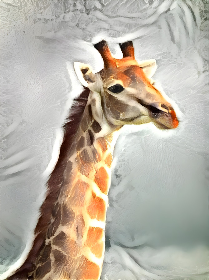 Giraffe 