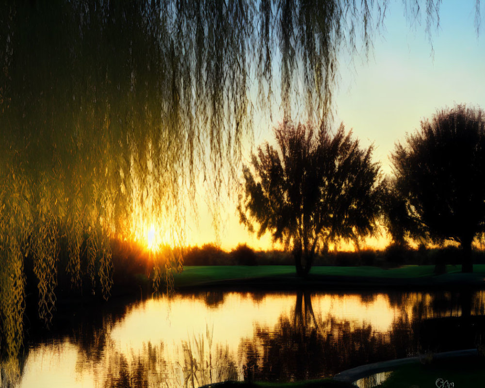 Tranquil lake sunset with tree silhouettes and vibrant orange sky