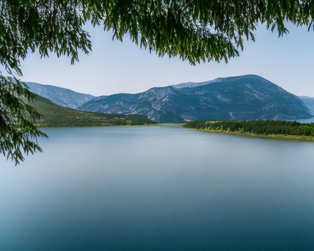 Scenic lake with forested mountains and overhanging tree branches