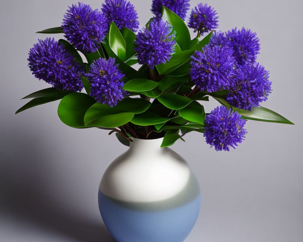 Gradient white to blue vase with vibrant purple flowers and green leaves