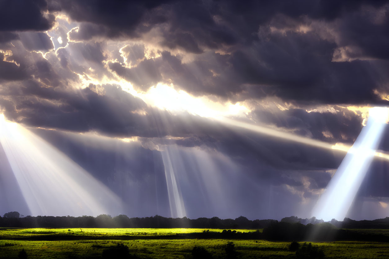 Dramatic sunbeams on lush green field under striking clouds