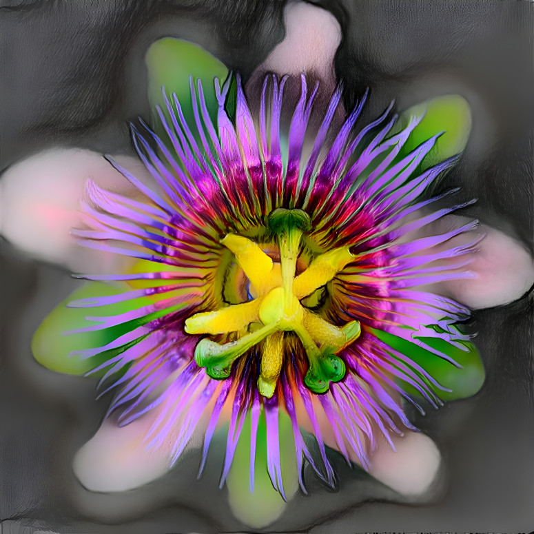 Passion Flower