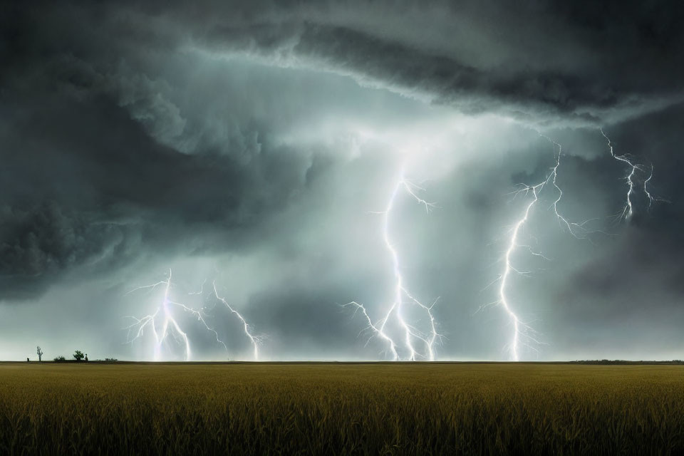 Intense Thunderstorm with Lightning Strikes Over Field