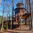 Enchanted forest scene with fantasy treehouse and vibrant purple flora