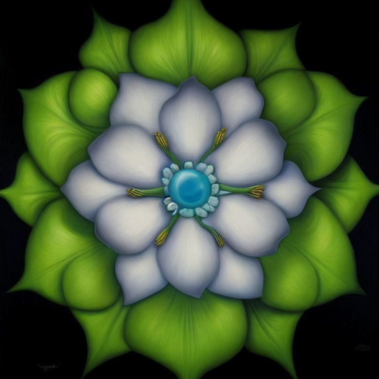 Symmetrical white and green flower with eight petals on black background