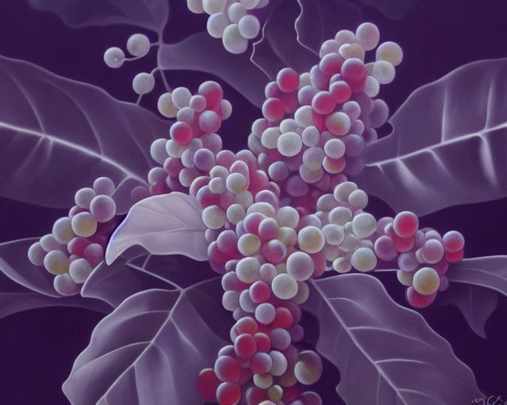 Detailed Painting of Purple-Leafed Plant with Red and White Berries