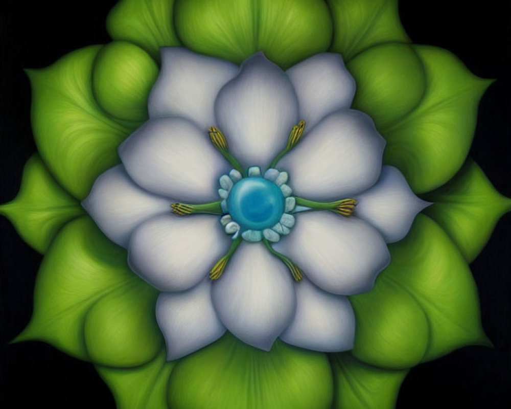 Symmetrical white and green flower with eight petals on black background