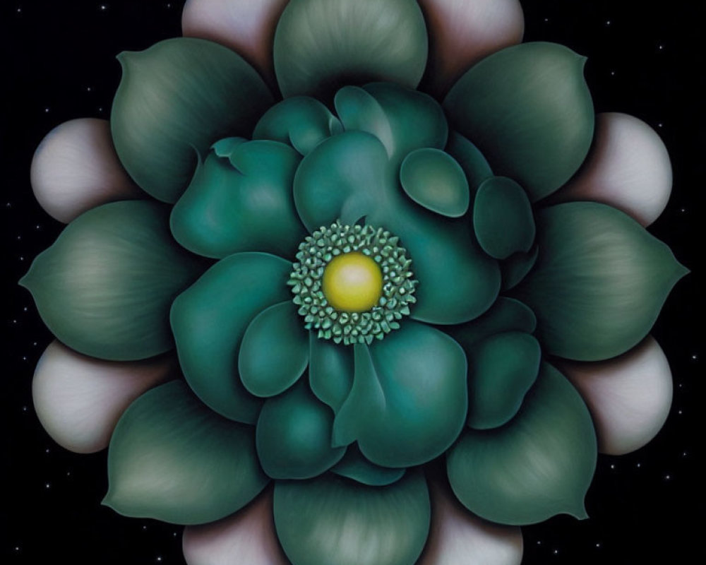 Symmetrical Green Flower Art on Starry Black Background