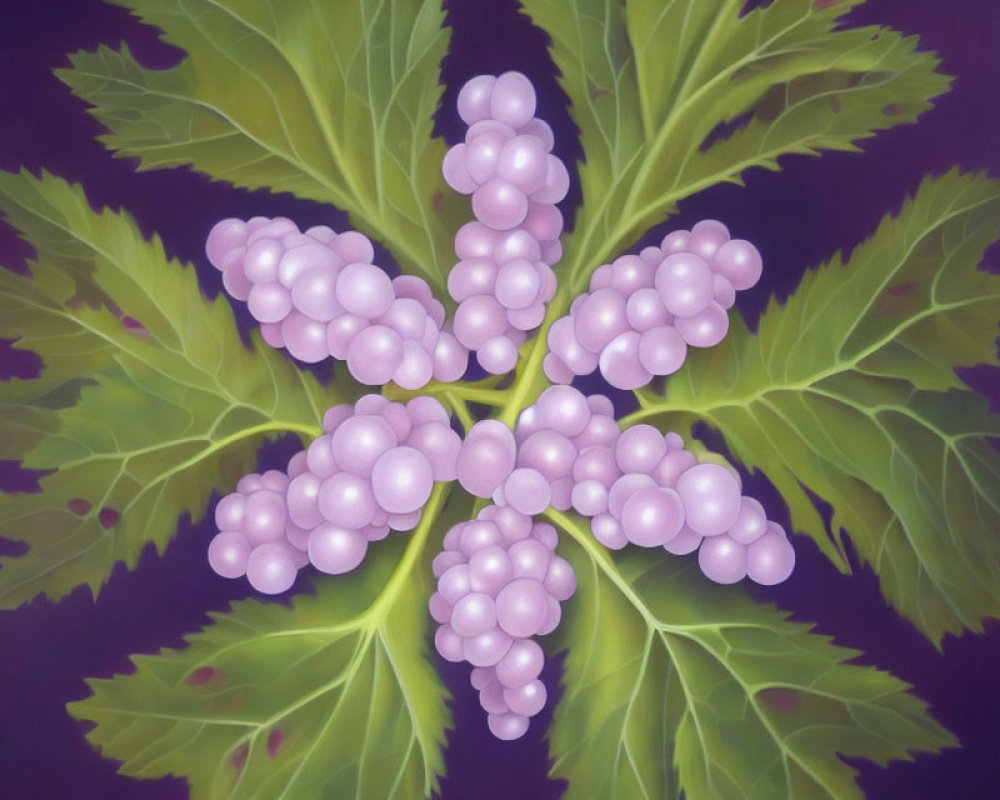 Symmetrical Purple Grapes Bunches on Green Leaves Painting