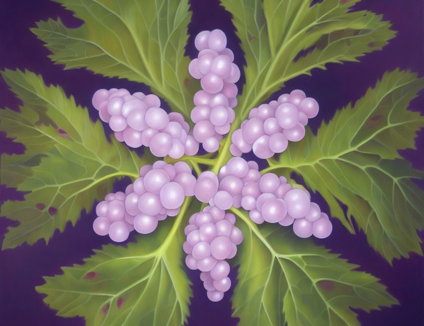 Symmetrical Purple Grapes Bunches on Green Leaves Painting