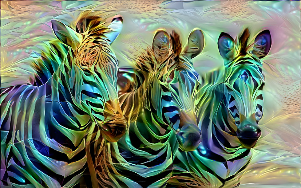 Trippy Zebras