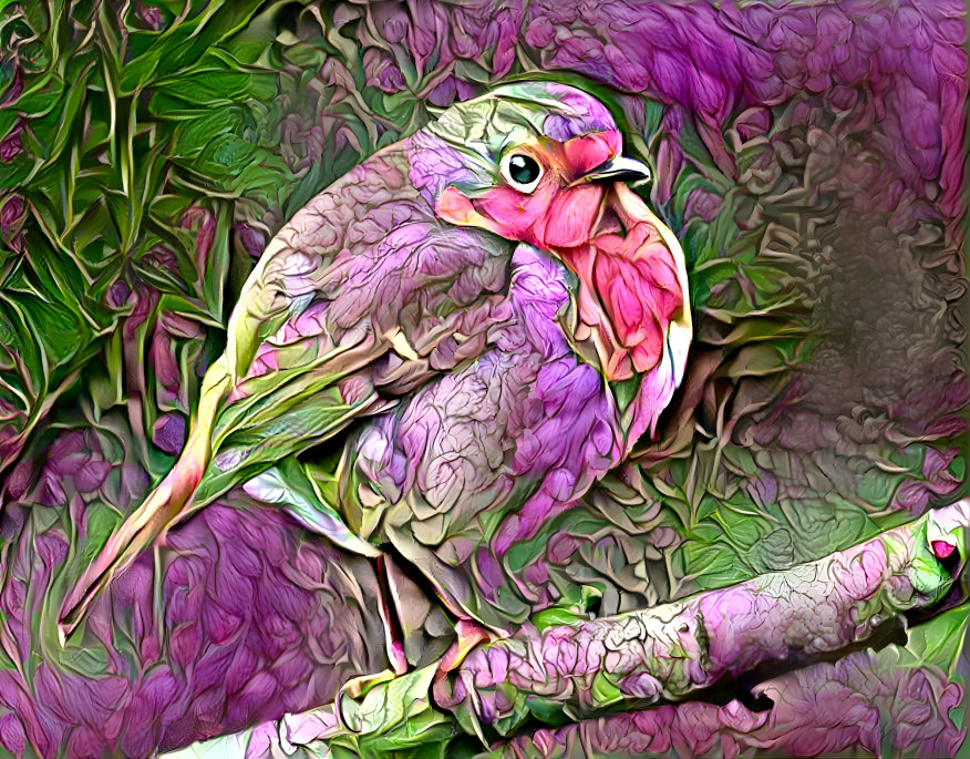 Pretty Bird