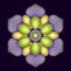 Symmetrical yellow and purple flower mandala on dark background