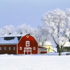 Tranquil winter landscape with red barn and snowy trees