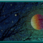 Fantastical night forest illustration with large moon and stars