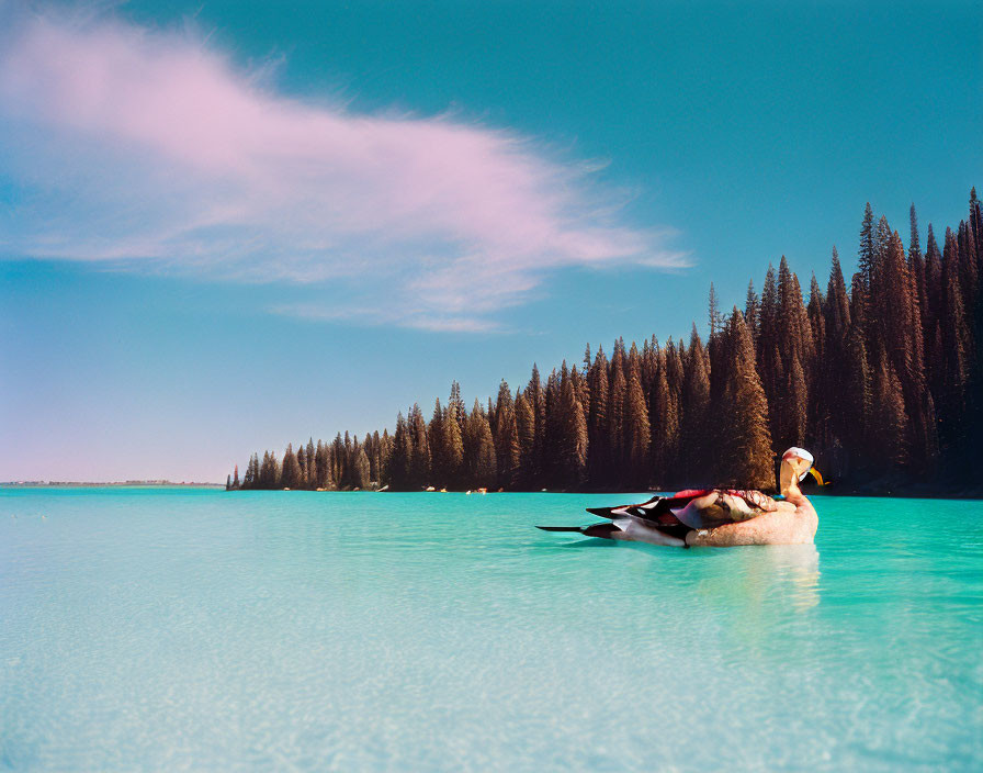 Person relaxing on inflatable duck in serene turquoise lake with pine trees and pink clouds