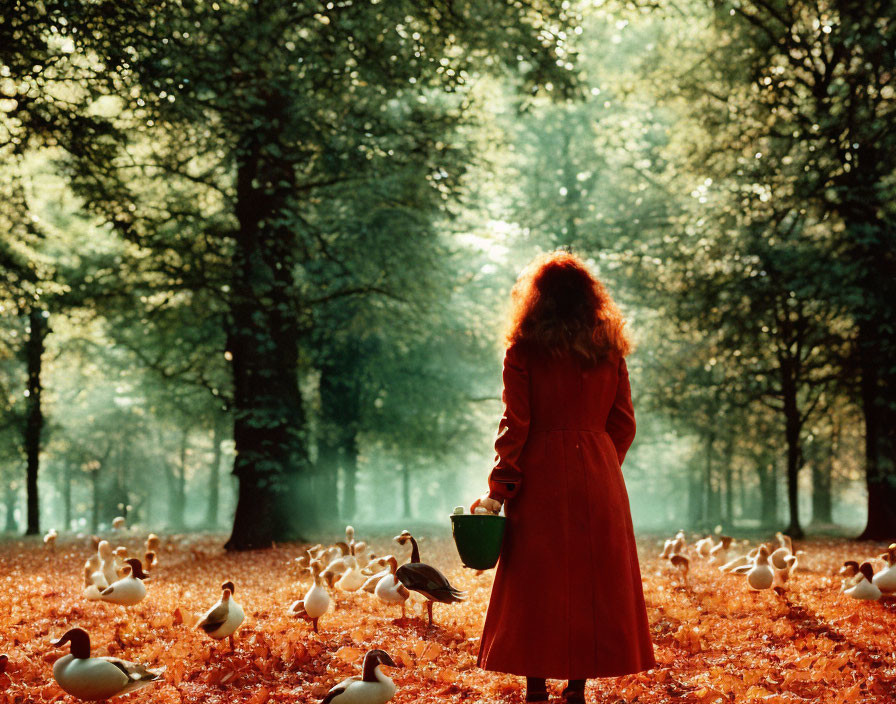 Woman in Red Coat Surrounded by Ducks in Misty Autumn Park