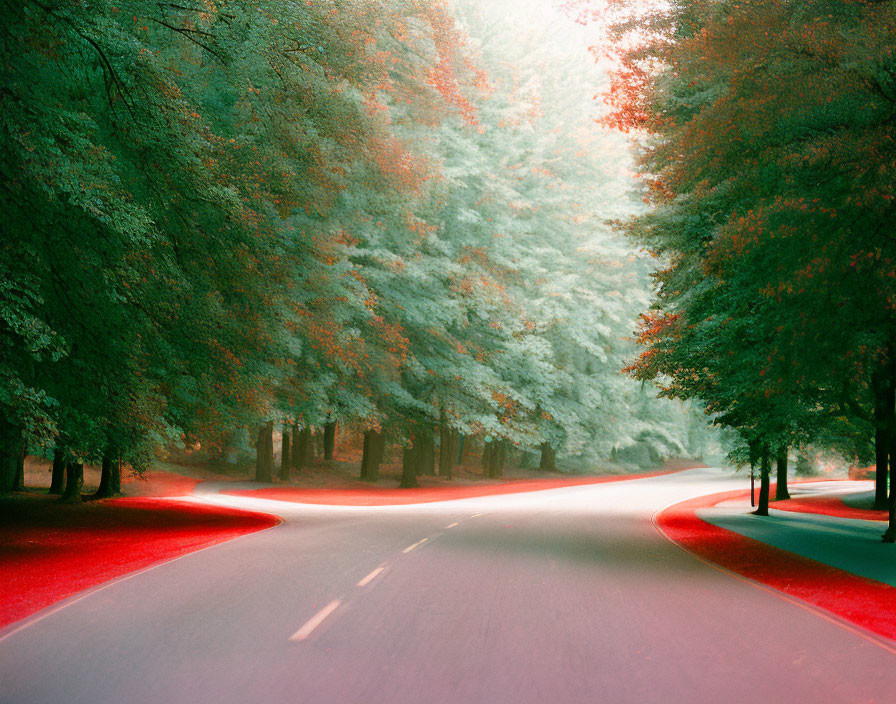 Tranquil road splitting around tree under lush green canopy.