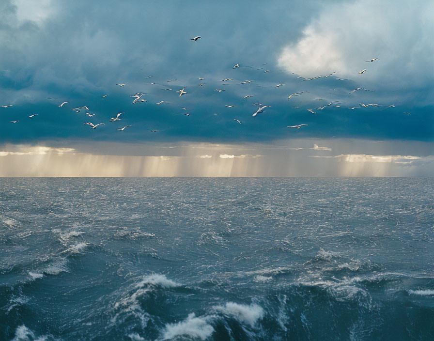 Stormy Sky Over Choppy Ocean Waves with Sunlight and Seagulls