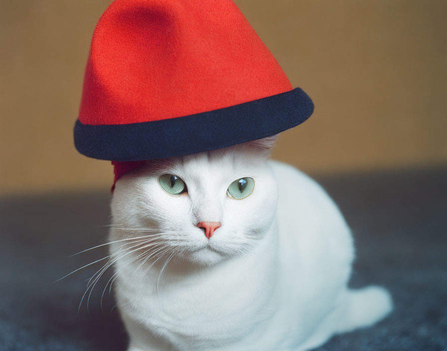 White Cat with Green Eyes in Oversized Red Hat