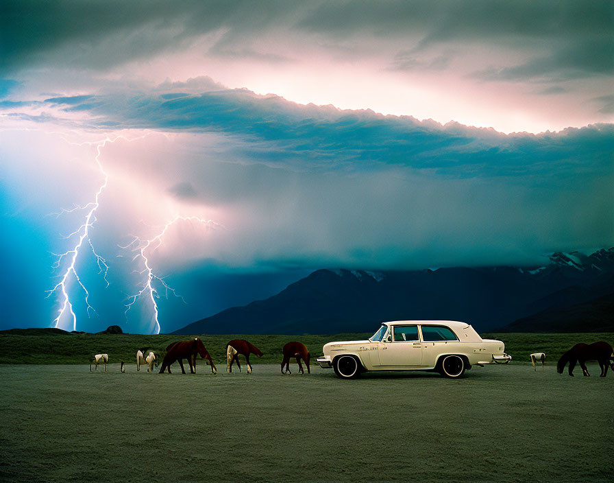 Vintage White Car in Stormy Countryside Scene with Horses Grazing