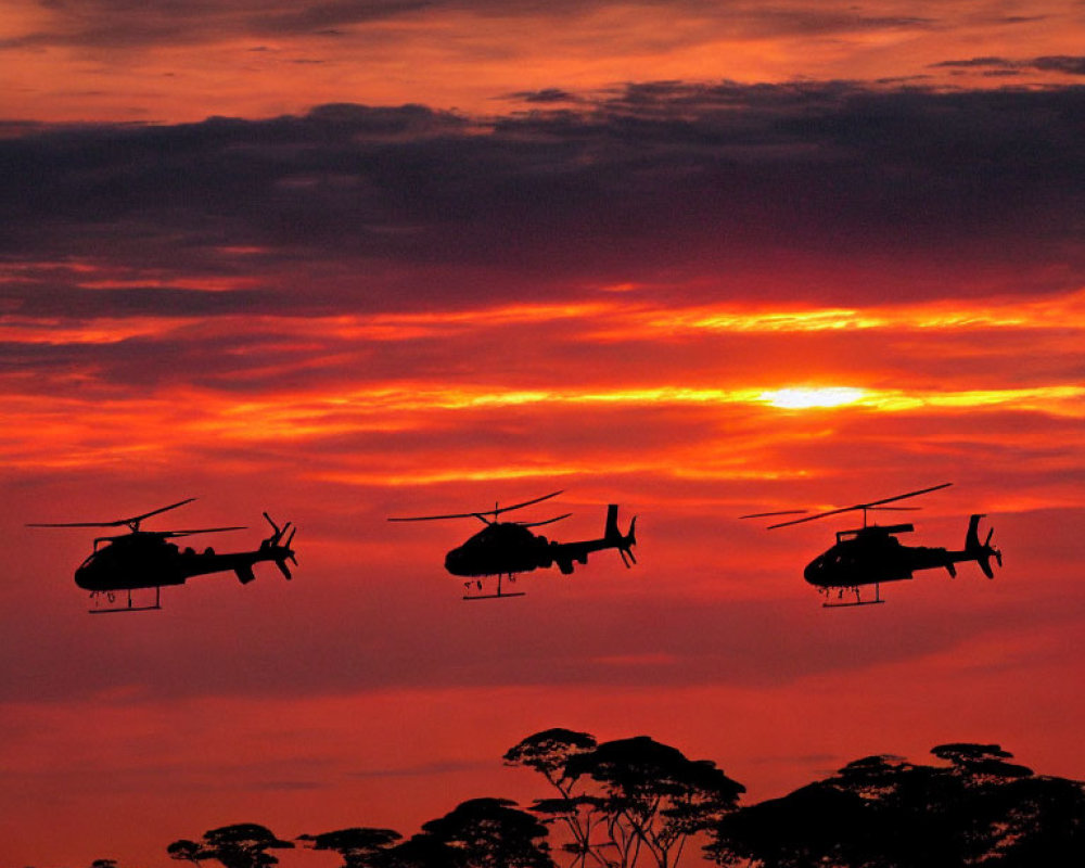 Four helicopters in formation against vibrant sunset sky with clouds and treetops.