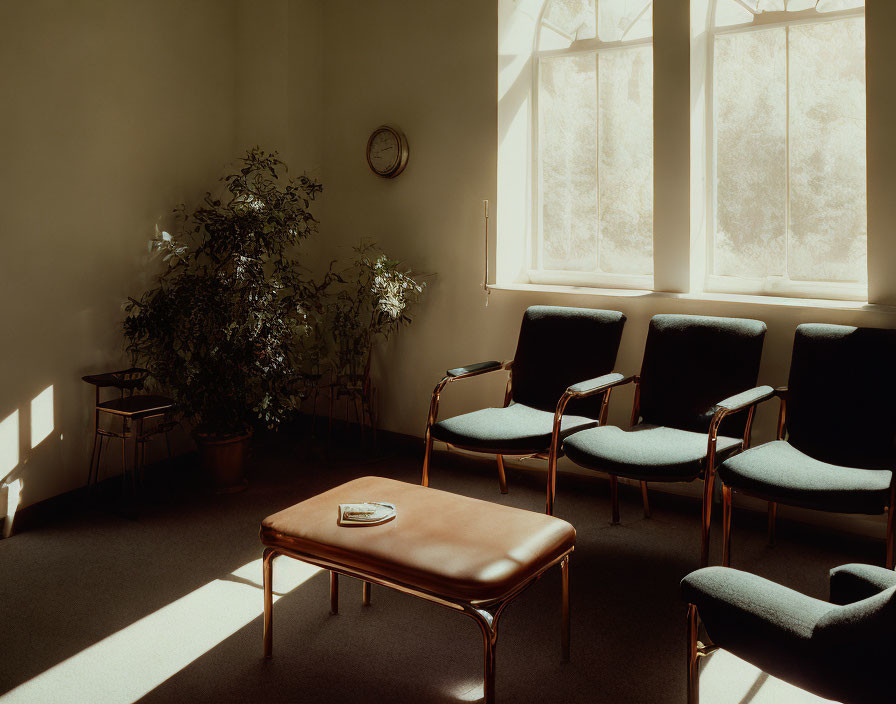 Sunlit Room with Chairs, Leather Bench, and Magazine