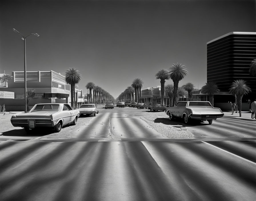 Classic Cars Parked on Sunny Street with Palm Trees