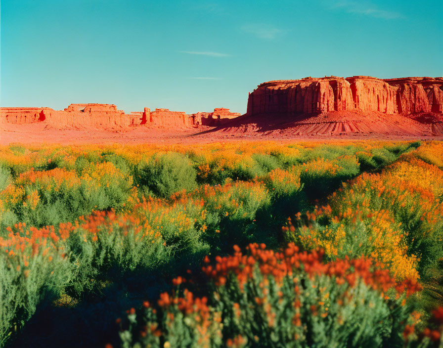 Vibrant orange and green flora with red sandstone formations under clear blue sky