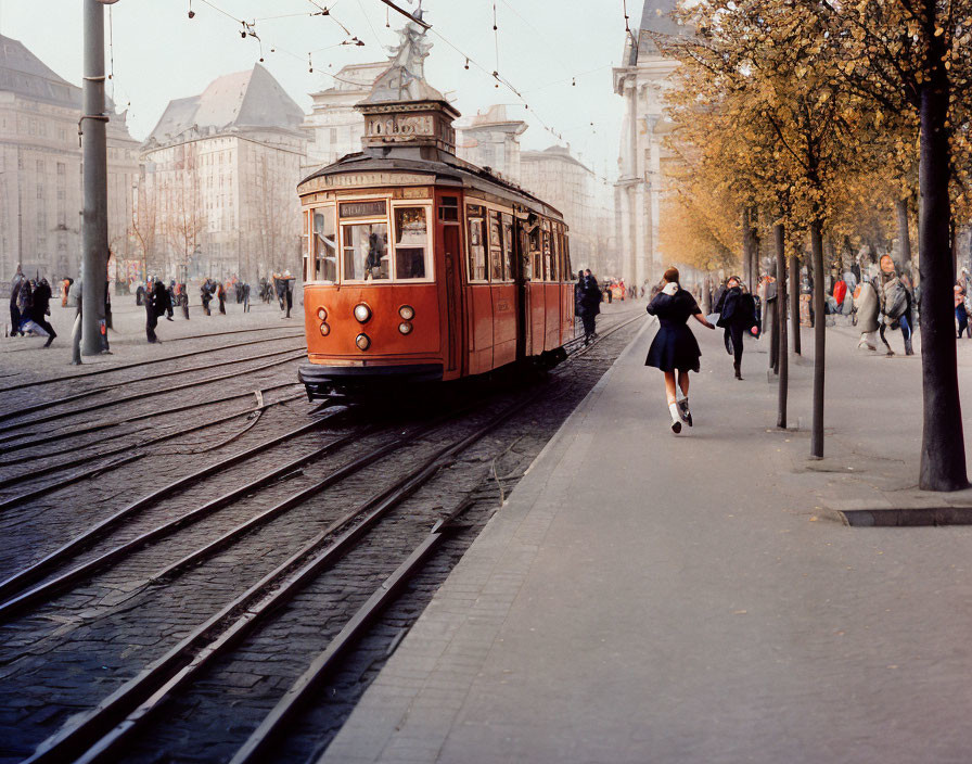 Historic red tram on tracks near tree-lined walkway and architecture.