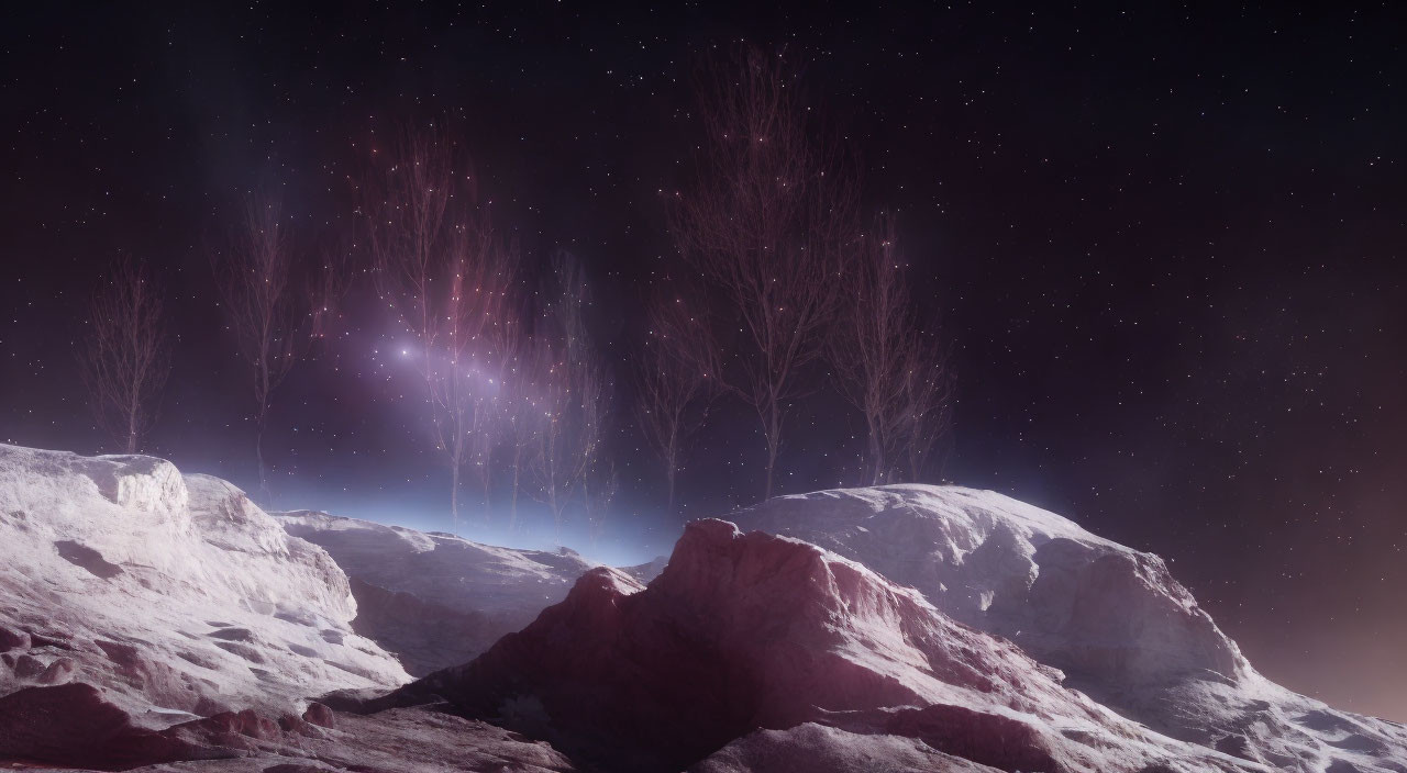 Rocky Terrain with Bare Trees under Night Sky and Aurora Lights