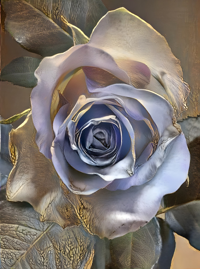 Beautiful Silver Rose