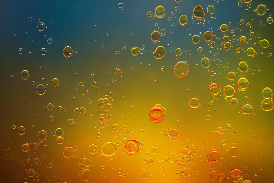 Colorful Gradient Background with Floating Bubbles Reflecting Light