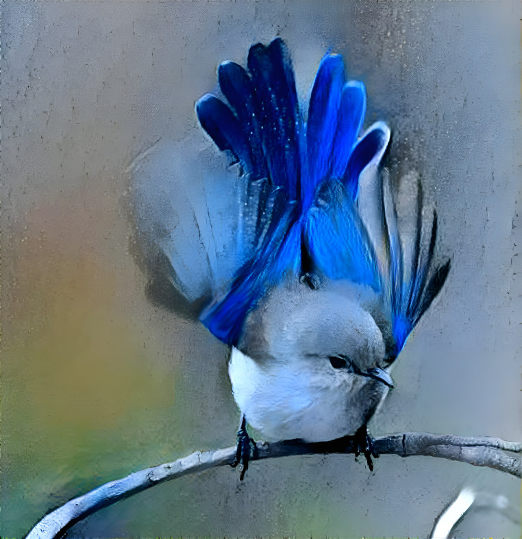 Little Blue Bird