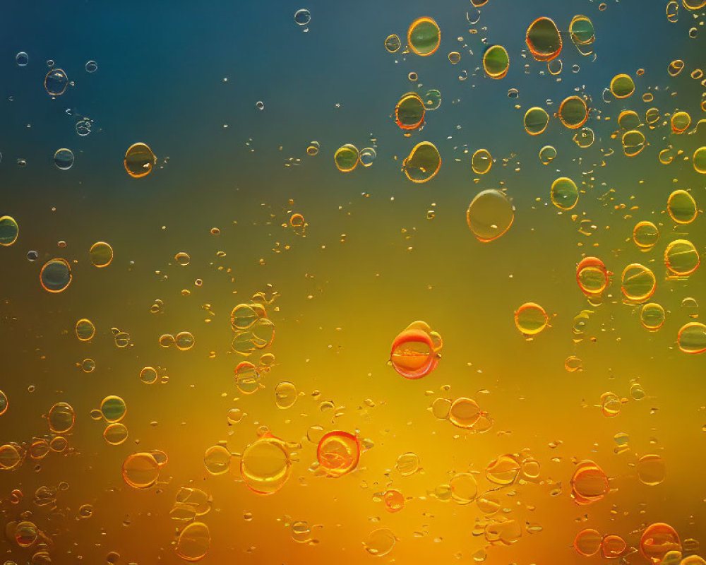 Colorful Gradient Background with Floating Bubbles Reflecting Light