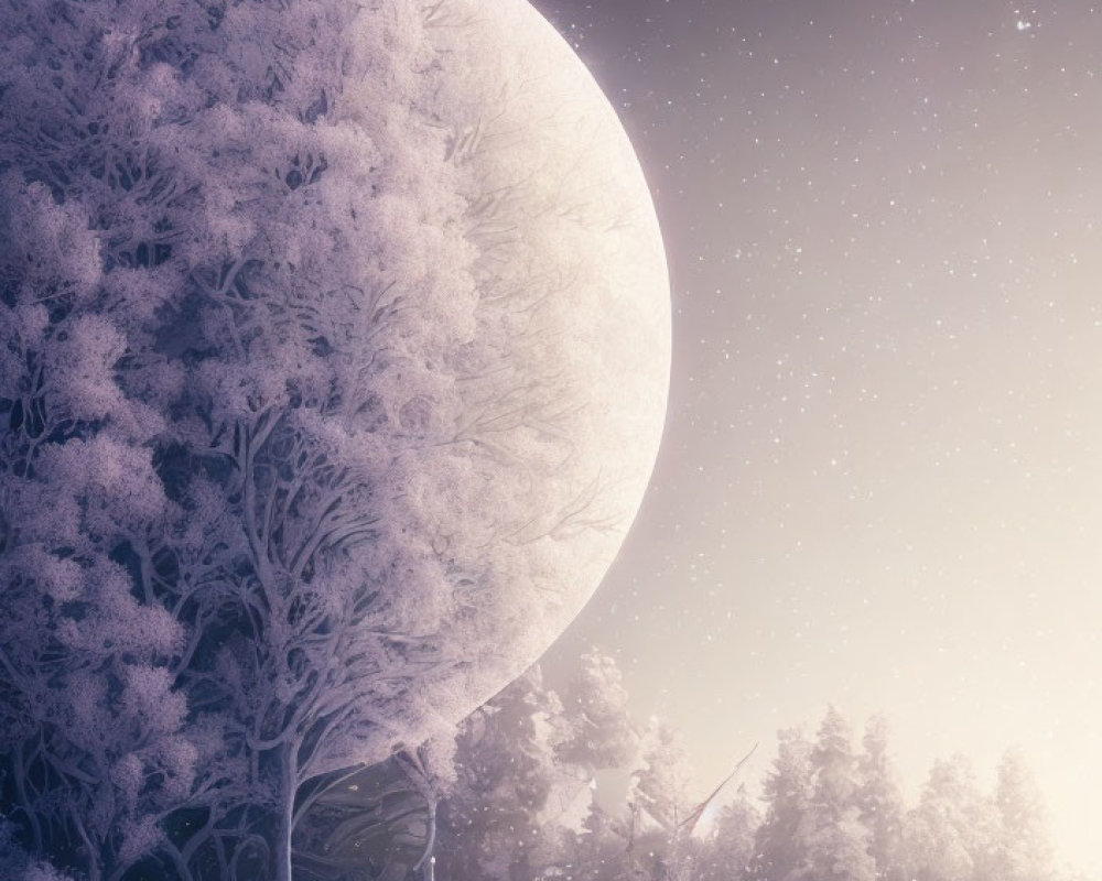 Snow-covered trees under full moon in serene winter night