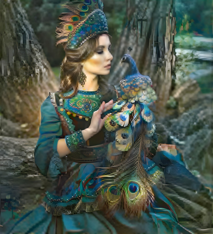 Peacock Dreams